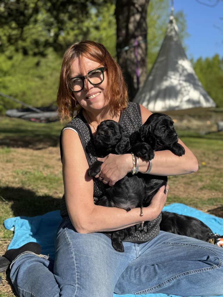 Cocker spaniel hvalpe fra Lillebassumgaard.dk / Lille-Elmehøj ved Odense.